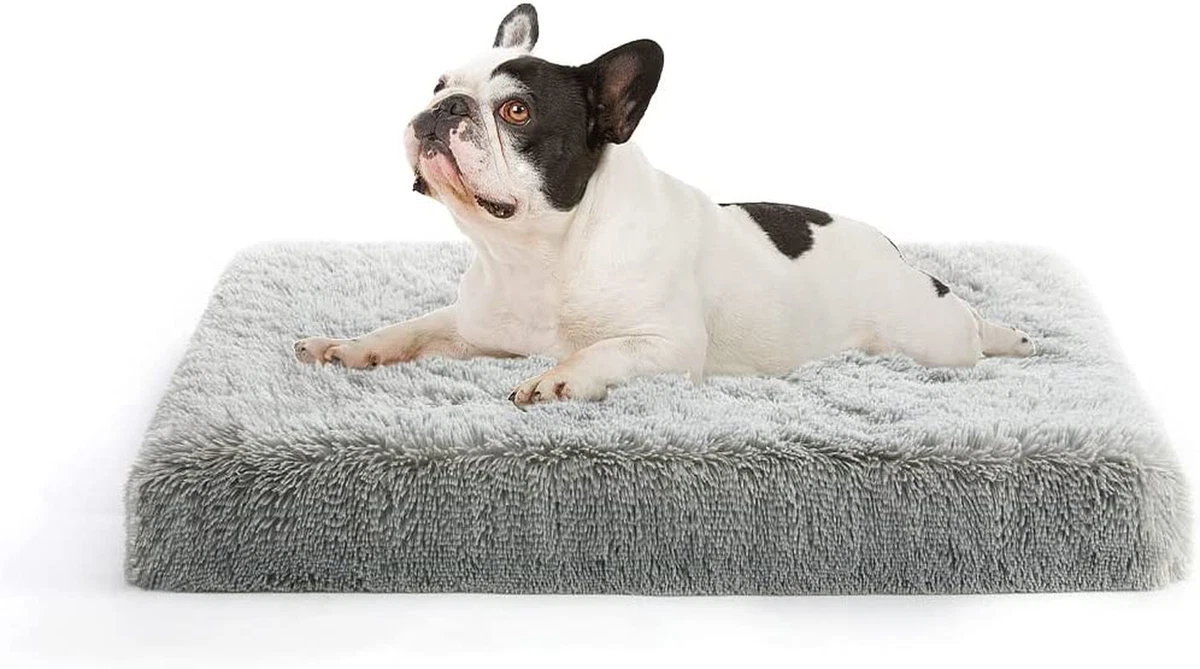 MIHIKK Small Dog Bed for Small Dogs Orthopedic Egg Crate Foam Dog