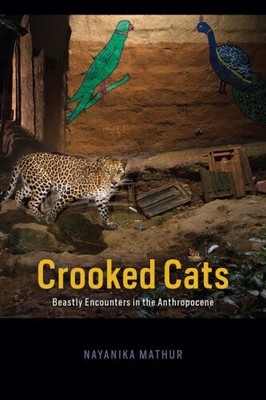 Crooked Cats: Beastly Encounters in the Anthropocene (Animal Lives)