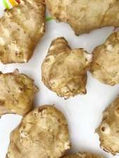 7 Big Tubers Jerusalem Artichoke - Individual Tubers For Planting - Sunchokes