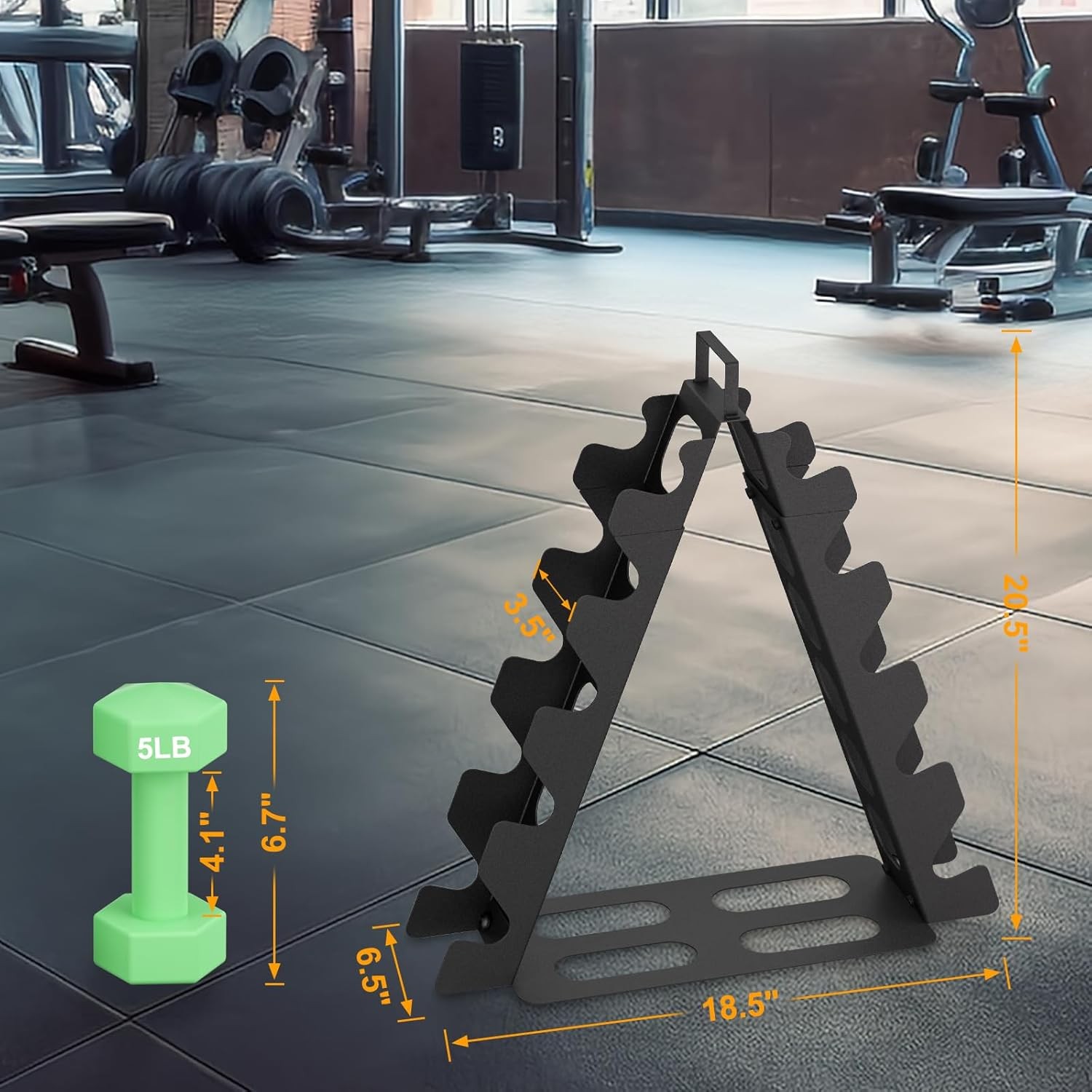 Rastrelliera per Manubri Supporto Palestra Casa foto 3