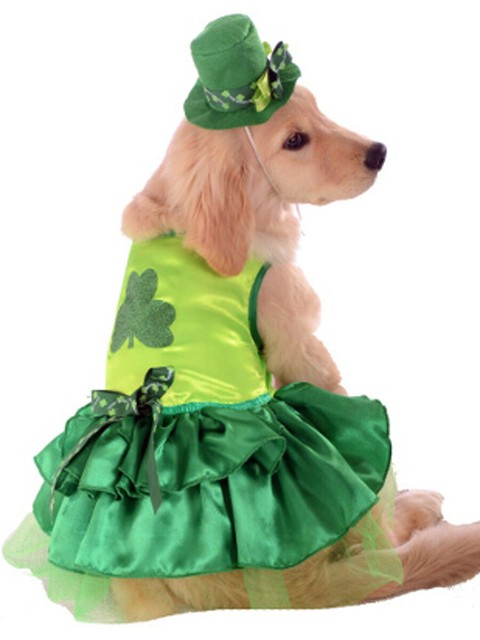 st patrick's day dog sweaters