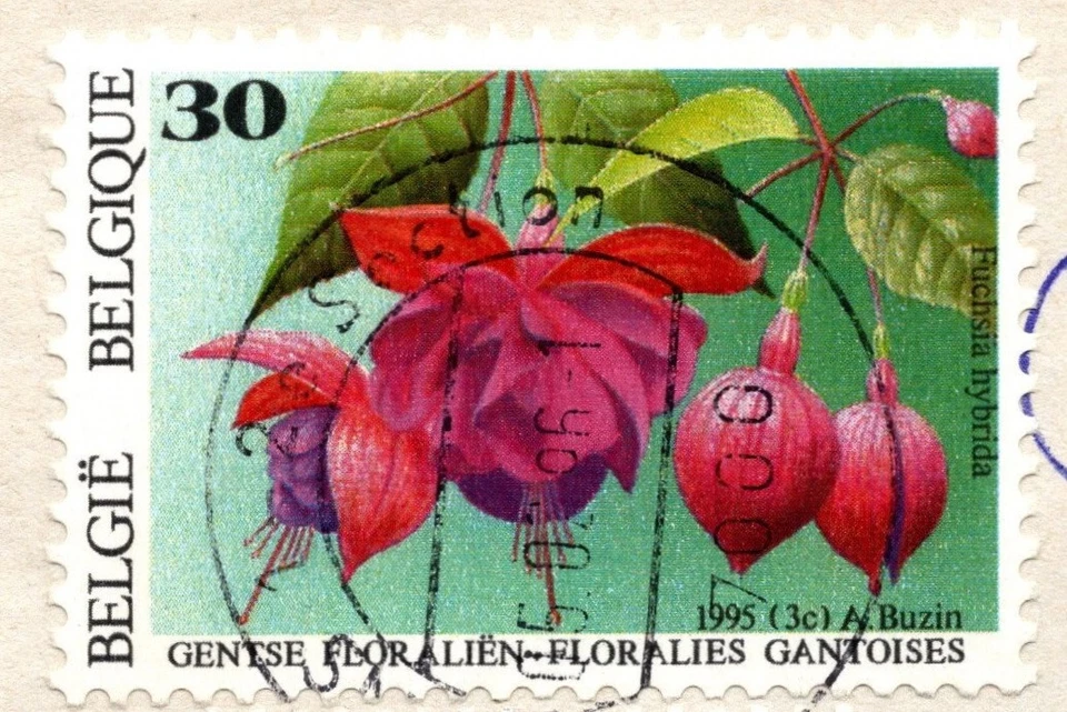 BELGIUM 1996 COVER SENT TO JORDAN PHILATELIC SECTION TWO STAMPS, USED - Image 3 of 4