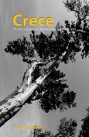 Crece Profundiza Tu RelacióN Con Cristo Joel Comiskey Taschenbuch Englisch 2010
