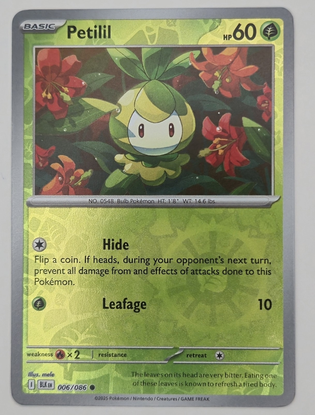 Petilil 006/086 Reverse Holo Common Black Bolt Pokemon TCG NM