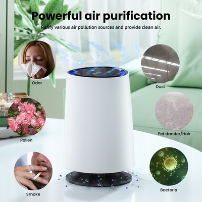Home Air Purifiers For Large Room Hepa Air Purifier Smoke Odor Pet Medical Grade