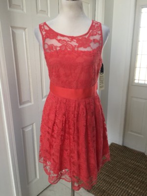 NWT BB Dakota Coral Empire Waist Lace Full Skirt Dress 6 | eBay