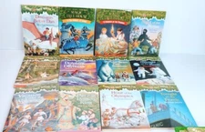 Lot of 12 The Magic School Bus Chapter Books