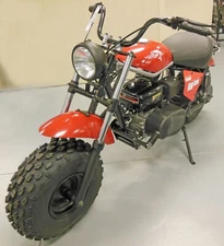 Trailmaster MB200 Mini Bike with Torque Converter Minibike