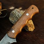 9.1" Collector Damascus Hunting Bush craft Full tang Knife+Wood Handle — photo 3