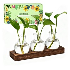 Plant Propagation Station, Terrarium with Wooden Stand 3 Bulbs, 3 Bulbs