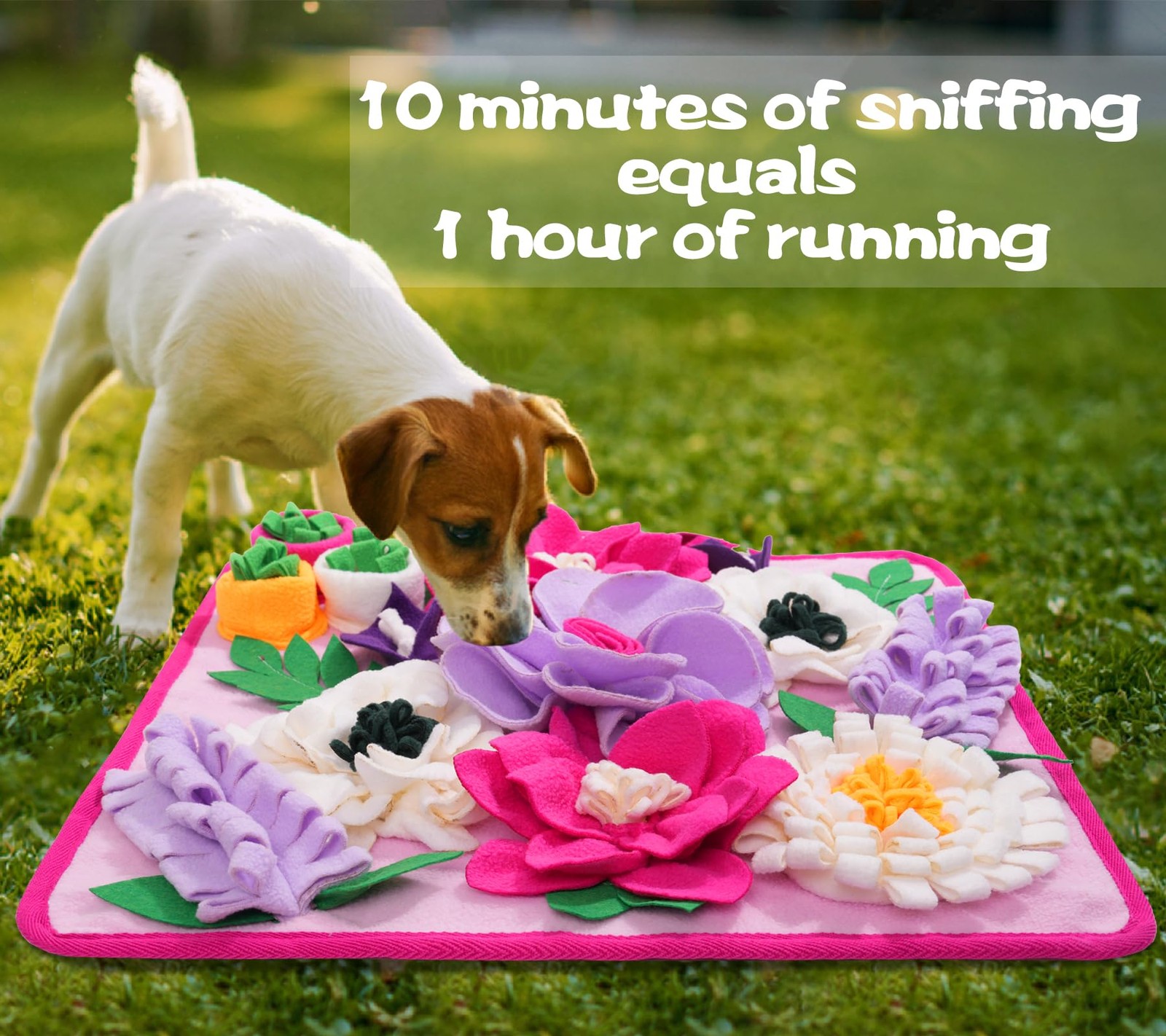 Best Snuffle Mat for Dogs Dog Feeding Sniff Interactive Dog Puzzle Training and