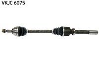 Vkjc 6075 SKF Antriebswelle FüR Dacia,Renault