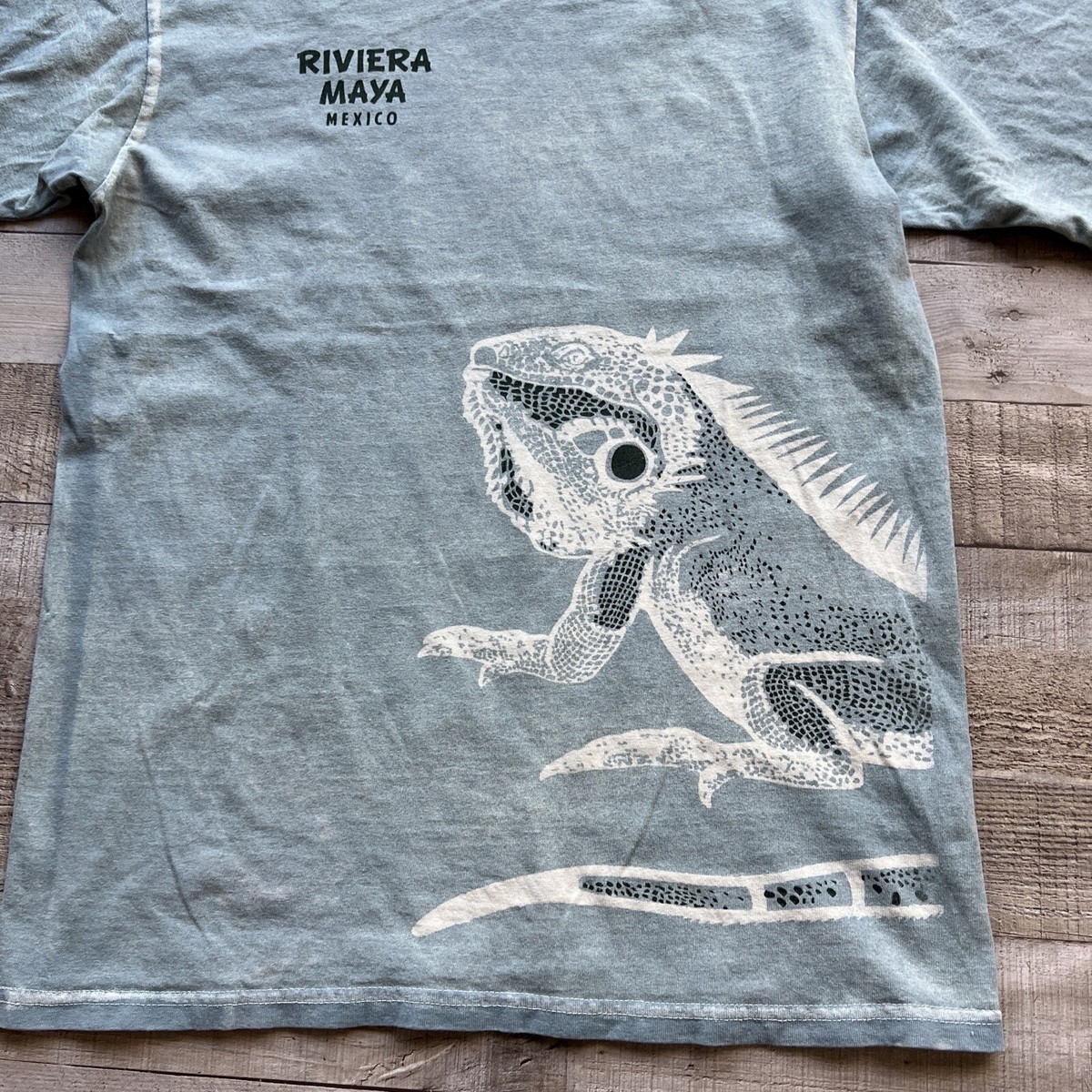 Iguana Riviera Maya Mexico T Shirt Mens Small Blue Mr Buho Graphic Tee
