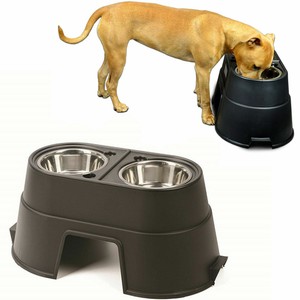 pet comfort feeding bowls