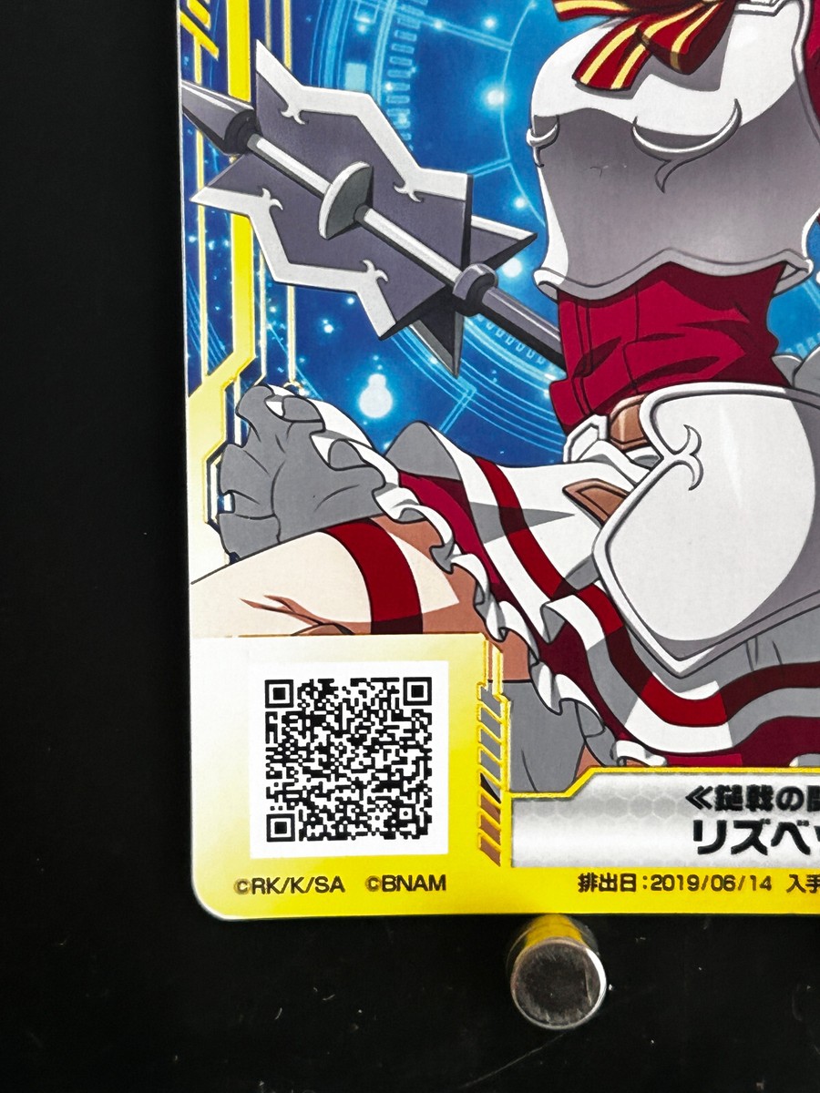 Lisbeth Shinozaki Rika Sword Art Online Arcade SAO Card H00127