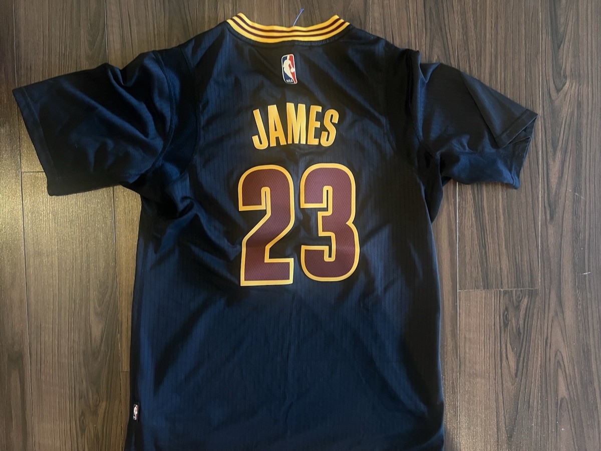Cleveland Cavaliers LeBron James #23 Swingman Sleeve Black