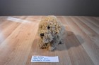 Demdaco Nat & Jules Beige Labradoodle Dog 2012 Beanbag Plush(310-1274-2)