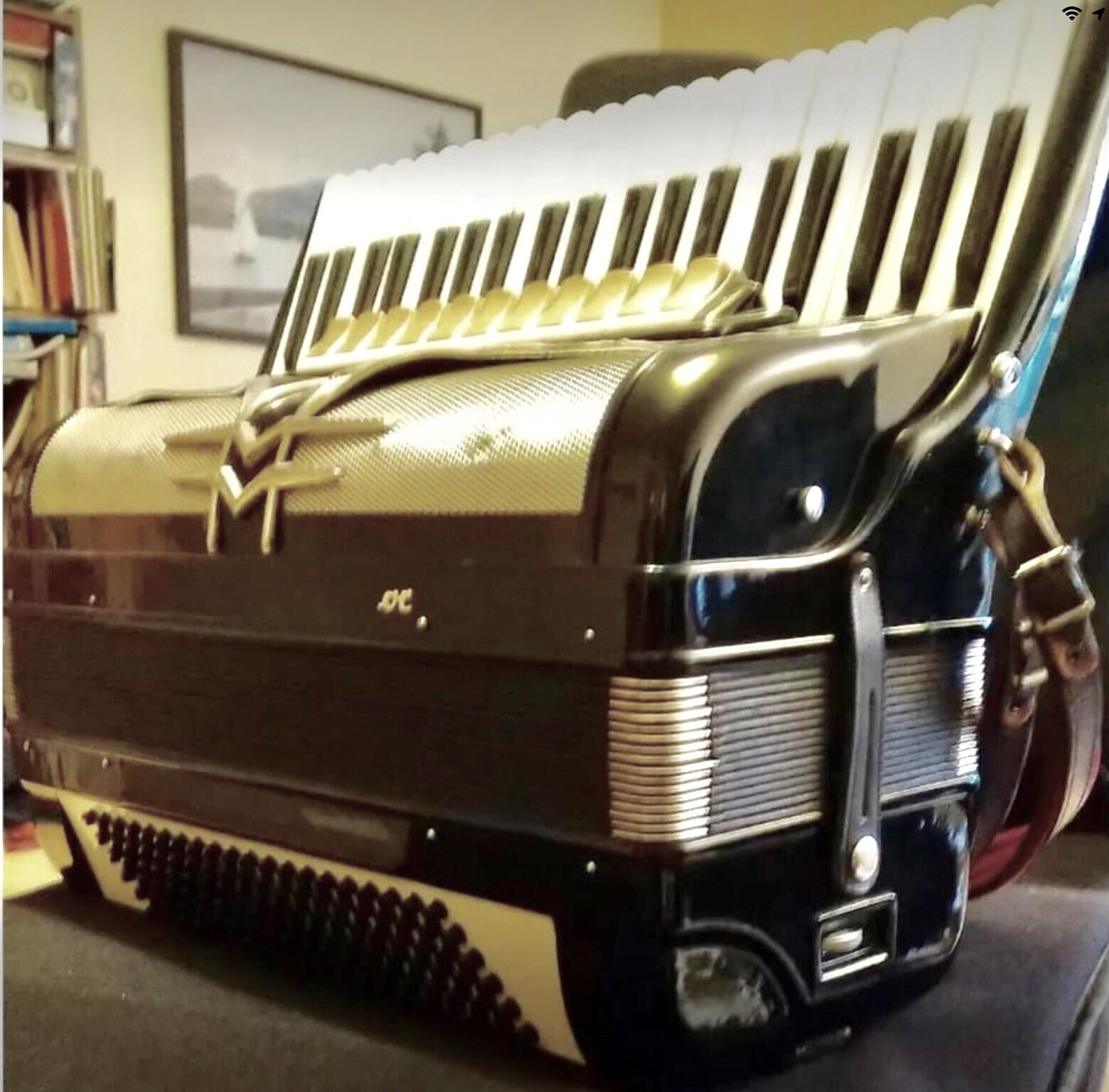 Venta de Acordeon Teclas 86 articulos de segunda mano