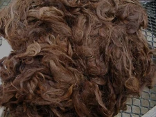 Washed Red Brown Suri Alpaca Fleece Fiber Roving Spinning 1 lb. blanket Wilson