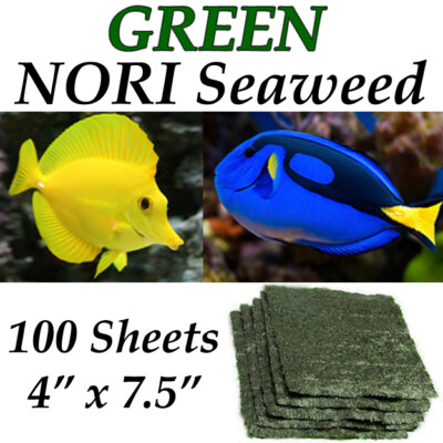 GREEN Nori Dried Seaweed 100 Sheets 4''x7.5'' Aquarium Saltwater Fish Food Algae