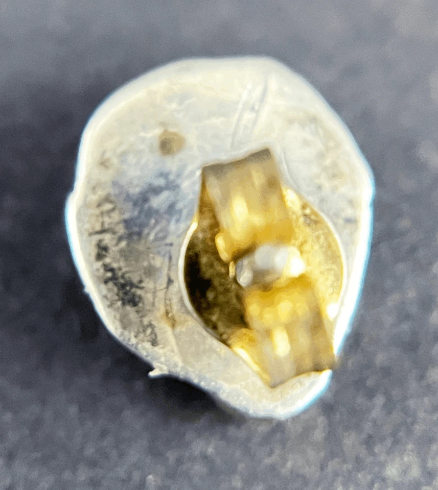 Pendientes de coral nativo de plata de ley Foto 3 de 4