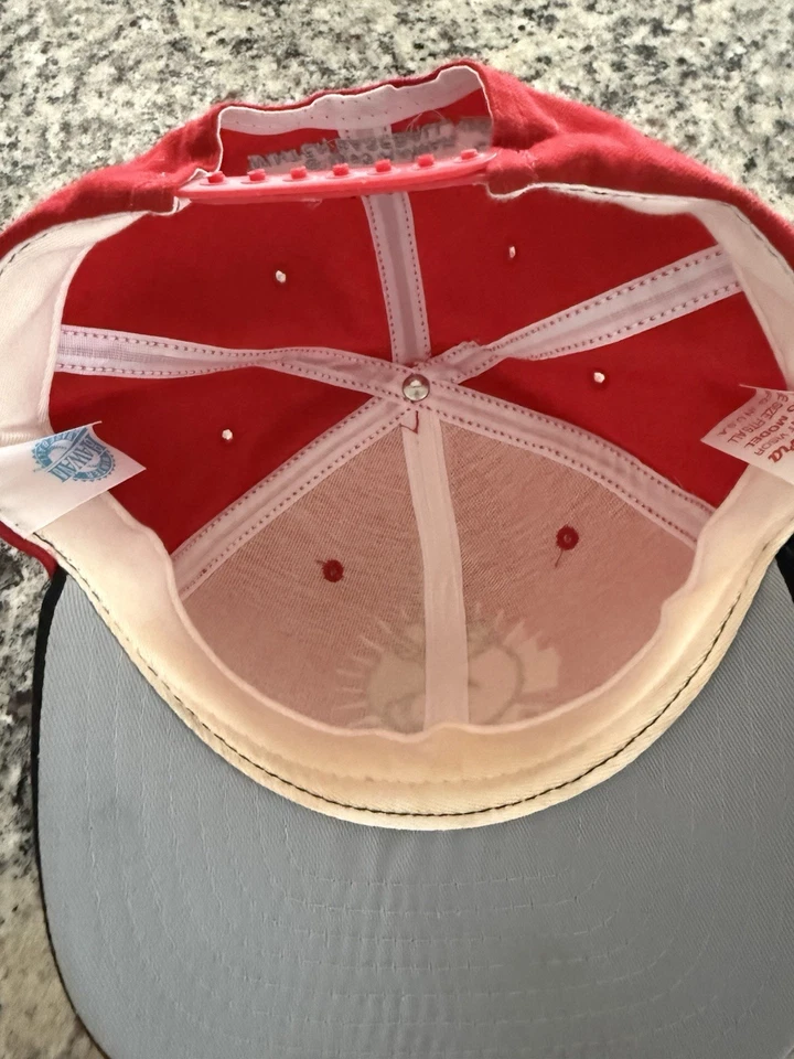 De colección Años 90 Maui Sting Rays Hawaii Béisbol Snapback Gorra Gorra MLB EE. UU. Nueva Era DuPont Foto 3 de 3