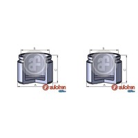 2X Autofren 38Mm Kolben Bremssattel Bremssattelkolben Hinten Passend FüR Nissan