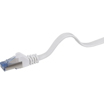 Renkforce RF-4149849 RJ45 Netzwerkkabel, Patchkabel CAT 6a U/FTP 10.00 m Grau...