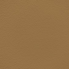 Mercedes Bamboo Leather Dye