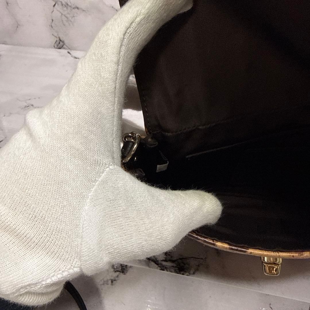 COACH Python Leather Chain Shoulder Bag All Leath… - image 11