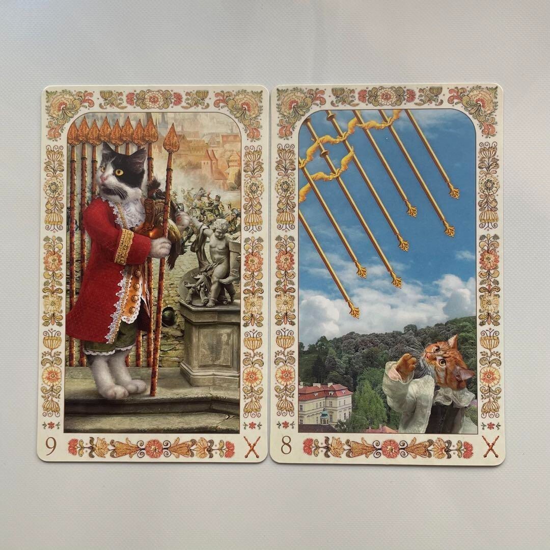【超希少品】BAROQUE BOHEMIAN CATS TAROT 2004 The Baroque Bohemian Cats' Tarot 2004 First Edition