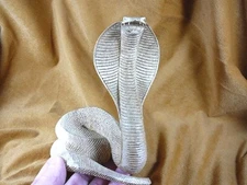 (q111-m) COBRA love snakes fangs snake ACACIA WOOD carving FIGURINE wooden