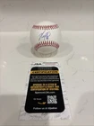 MAX FRIED NEW YORK YANKEES PITCHER SIGNED AUTO OML BASEBALL JSA COA