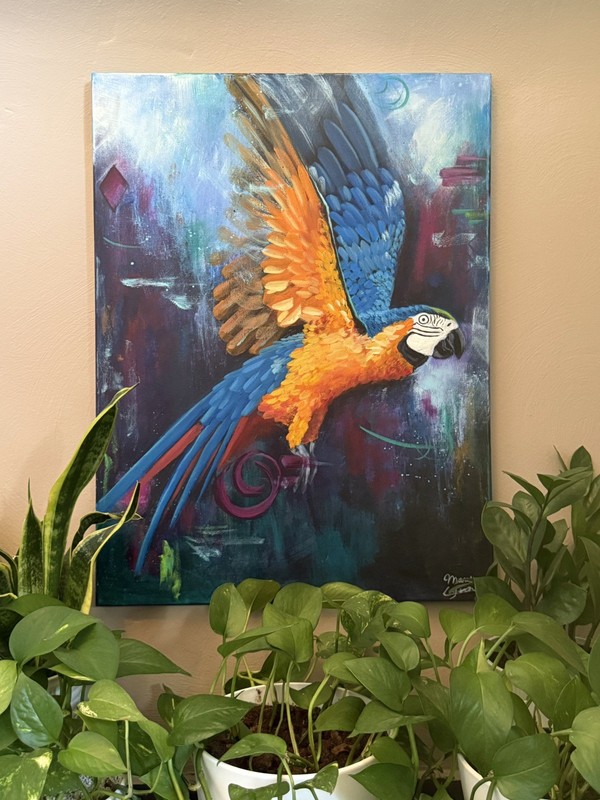 Original Macaw Parrot Acrylic Painting Bird Tropical Fine Art Canvas 18x24”