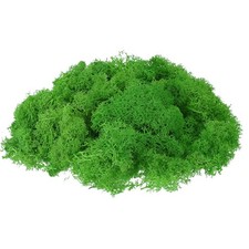 17.6oz Fake Preserved Reindeer Moss, Green