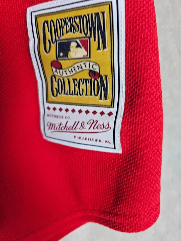 Camiseta Anaheim Angels Vladimir Guerrero Mitchell Ness Roja 2004 Auténtica BP L Foto 4 de 4