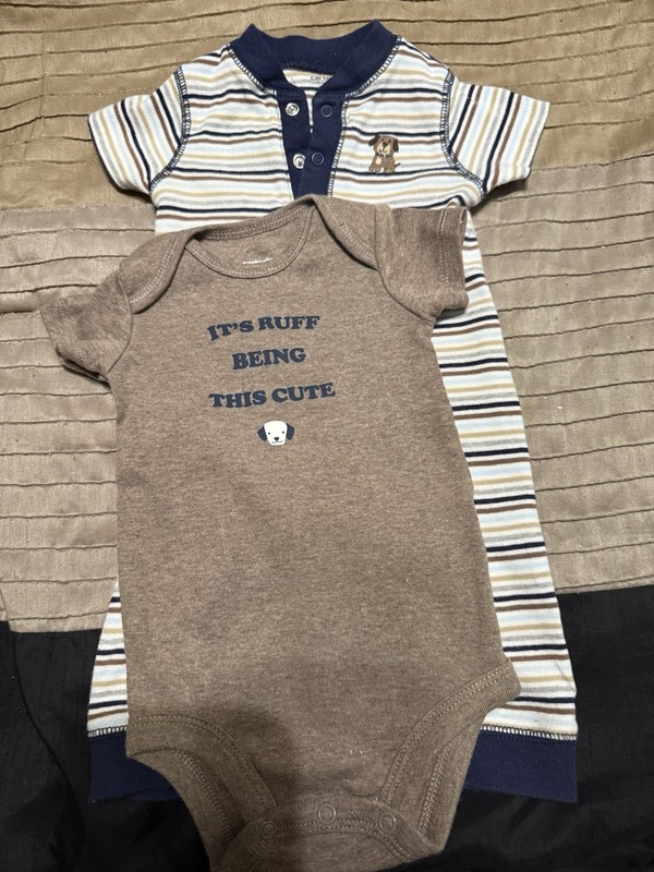 Lot of 2 Bodysuits Size 3 Months By Carters long bodysuit and one short