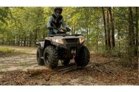 2022 Arctic Cat Alterra 450