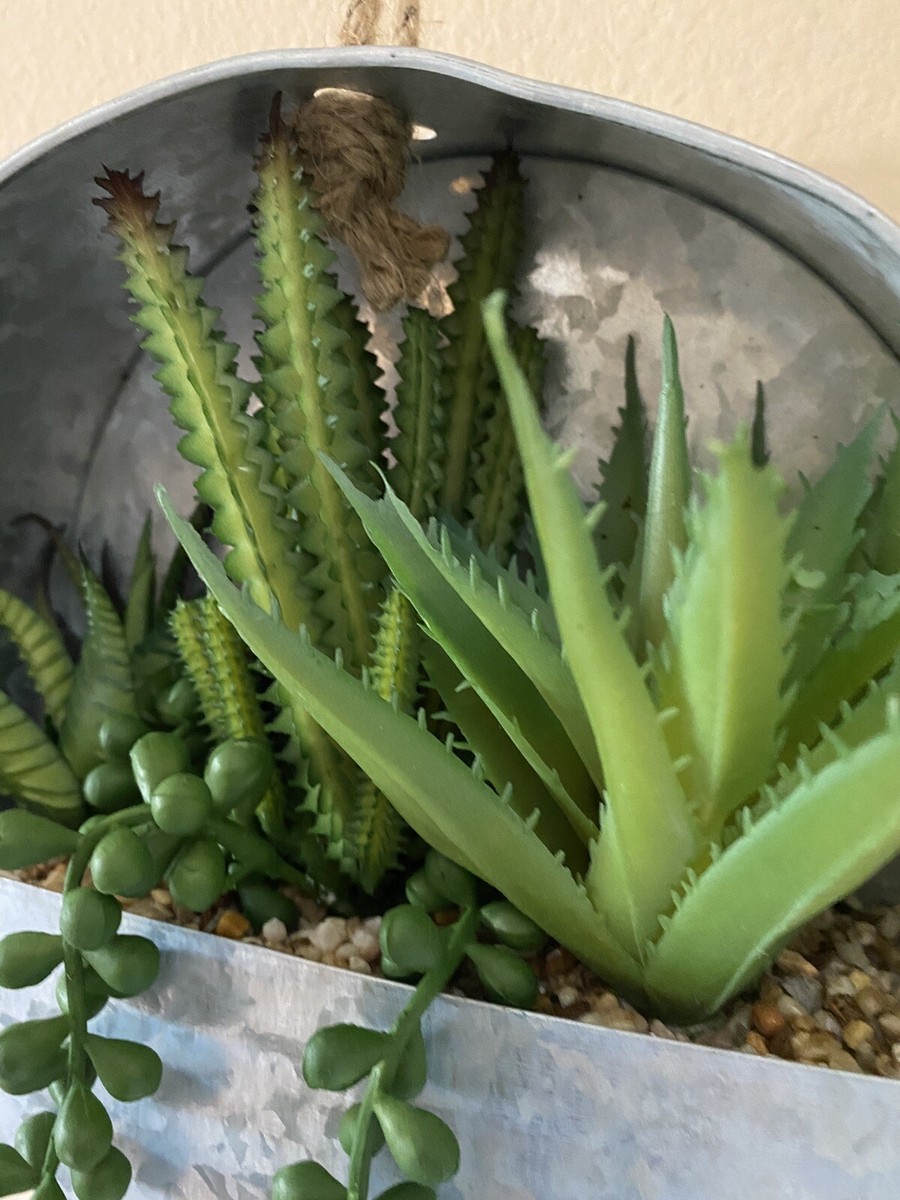 Succulent Wall Decor Hanging Artificial Succulent Plants in Metal Round Tin  Aloe | eBay