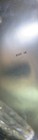 Bild 8 von 8