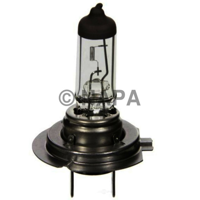 NAPA 1255H7 Headlight Headlamp Bulb 12 Volt 55 Watt for sale online eBay