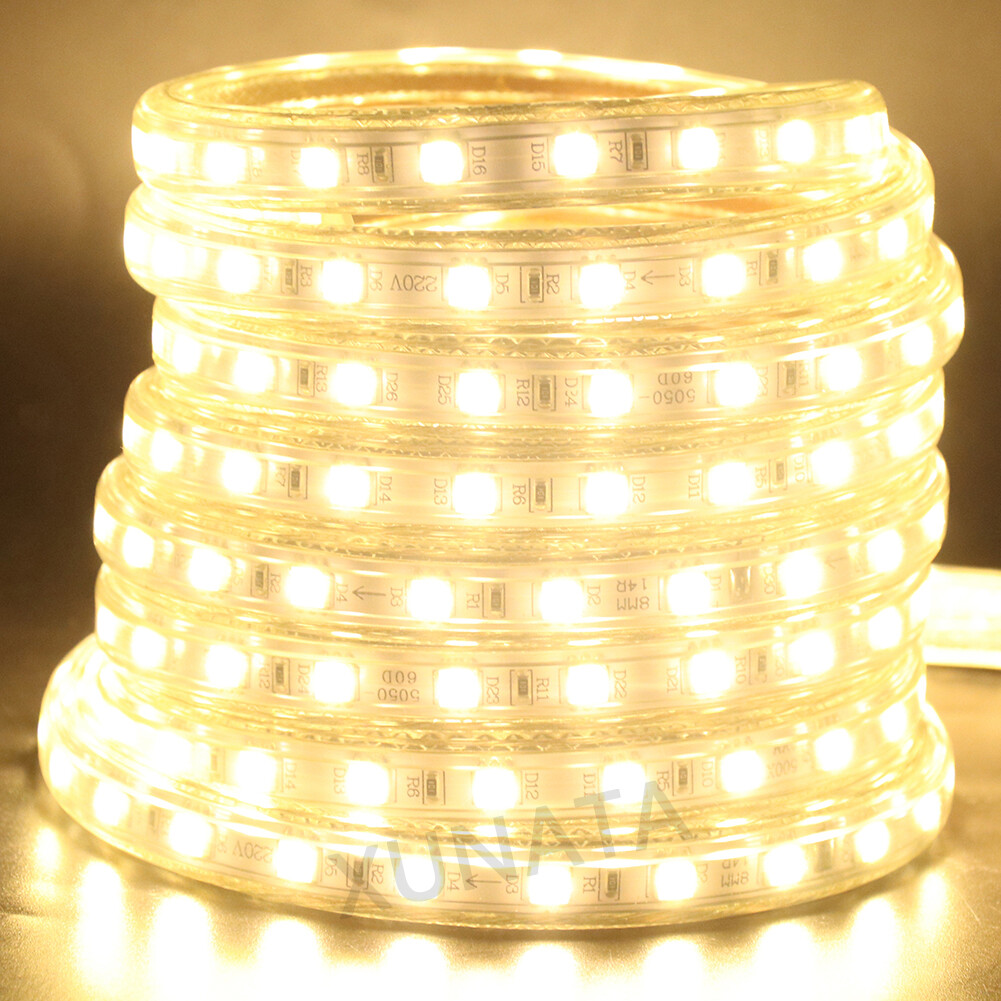 220V 5050 RGB LED Strip Lights Lamp Cupboard Flexible Rope Tape Light Waterproof eBay