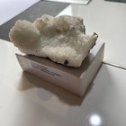 Foto 12 di 12