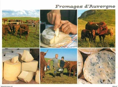 Carte Postale - Metiers - Fromager - Fromages - Fromagerie - Fromages d'Auvergne - Photo 1/2