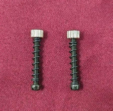 Campagnolo Short Dropout Adjusting Screws w/Springs PAIR FREE SHIP