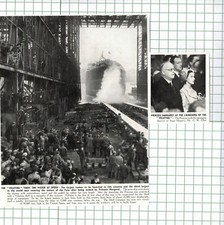 VELUTINA Ship Mr G W Elliott Swan Hunter - 1950 Clipping/ Print