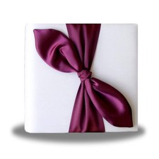 Burgundy Satin Bow Ivory Photo Album 4X6" Bridal Wedding Love Birthday Gift