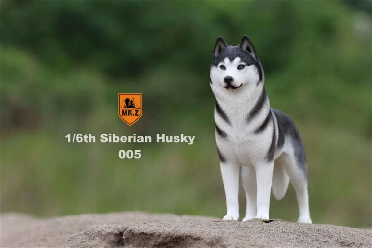 Mr.Z 1/6 Siberian Husky Dog Pet Huskie Figure Animal Decor