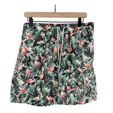 Goodfellow Co Tropical Flamingo Print Above Knee Swim Trunks Green Size Large
