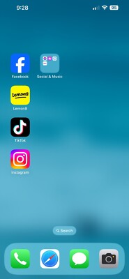 iPhone 13 Pro Max With TikTok & Lemon 8